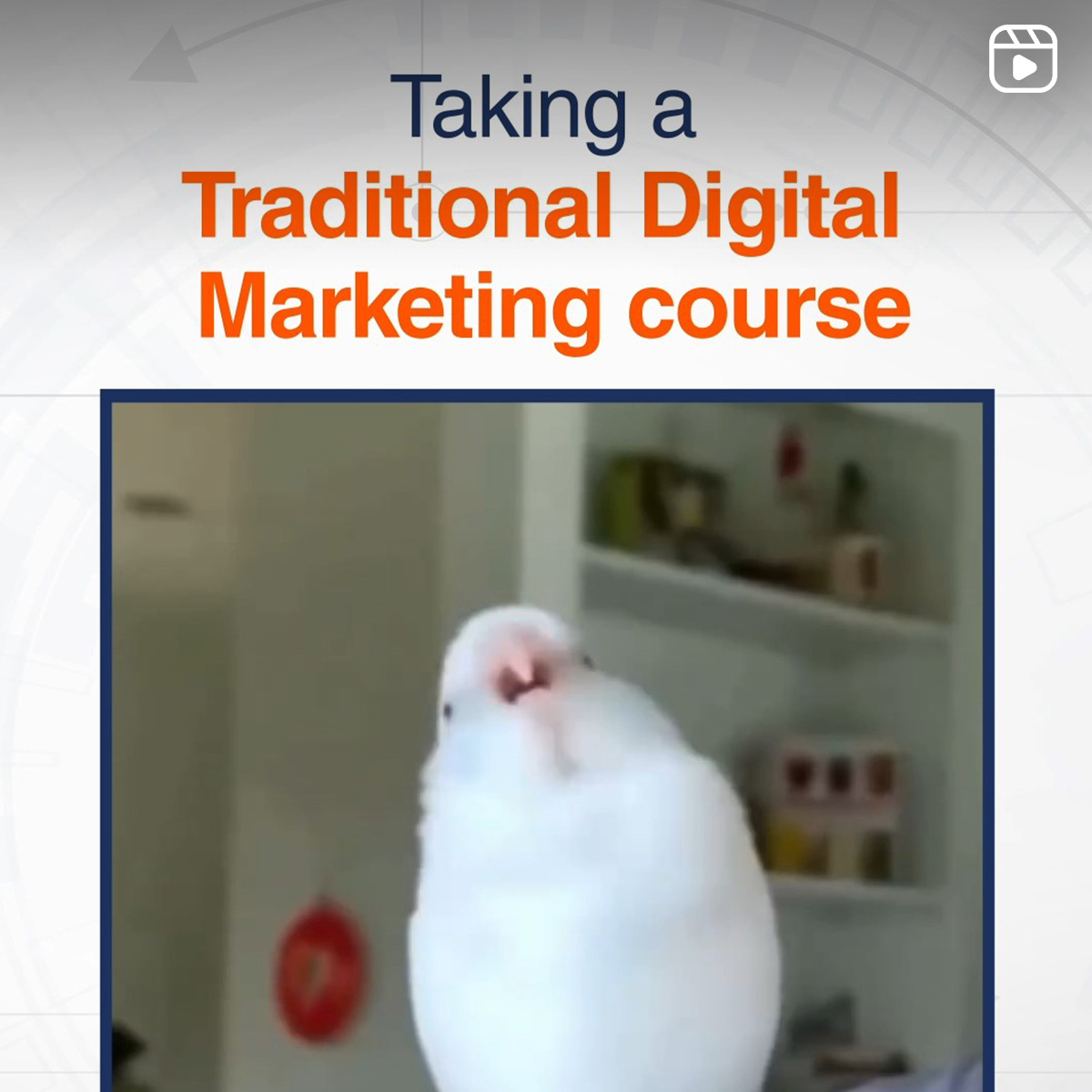 Me taking a Traditional Digital Marketing course